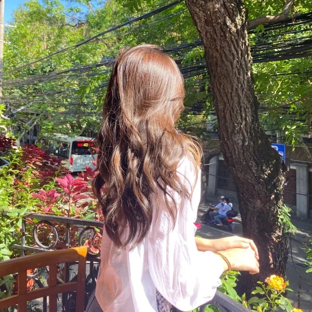 探长薇拉第十二季