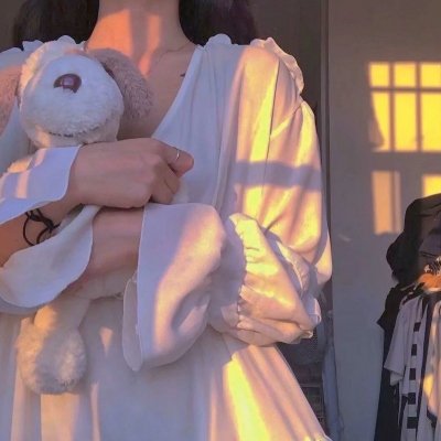 乐高DC超级英雄美少女：超级罪犯中学